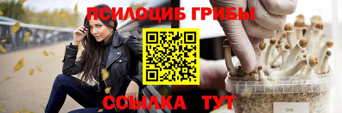 Лосино-Петровский  Псилоцибиновые грибы прущие грибы  где купить   Вход с VPN 